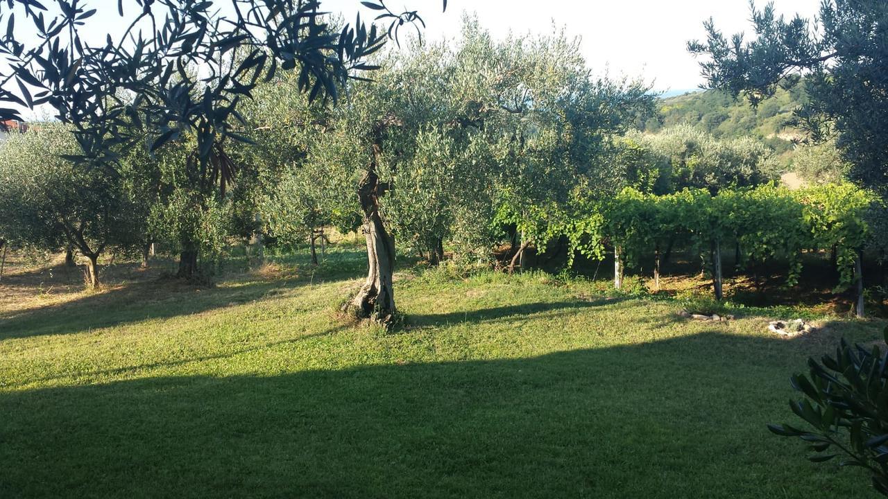 B&B Stella Dell'Adriatico Ortona Exterior foto